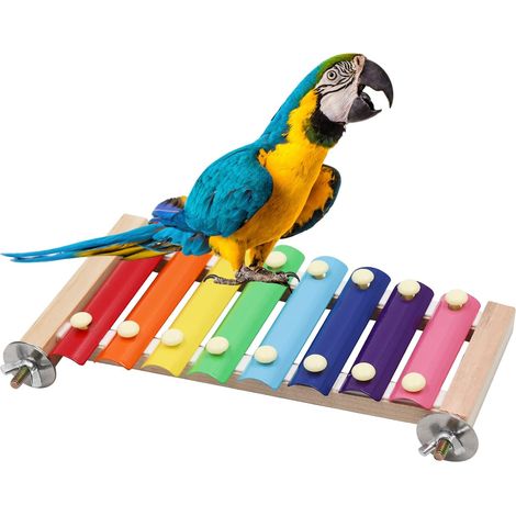 Xylophone Pour Oiseau - 1 Unité - Bois Et Métal - 8 Touches Sonores - Cage Volière Perroquet - 23x12x2cm (1/5)
