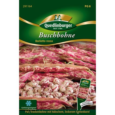 Quedlinburger Buschbohne Borlotto rosso - Gemüsesamen (1/2)