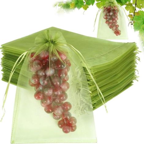 Lot de 100 sacs de protection pour fruits (20 x 30 cm) — Housses de protection en filet pour fruits et barrière anti-insectes (1/5)