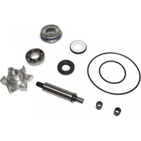 wasserpumpe top performance für roller honda 125 pcx 2010 bis (1/2)