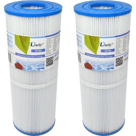 Filtre pour spa Darlly SC704 / 42513 / C-4326 (1/3)
