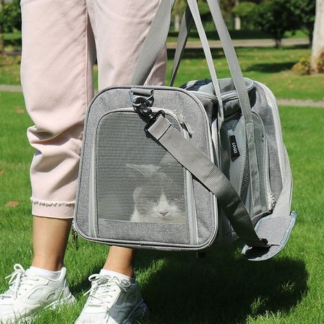 Zaino per cani ACE Pets, trasportino per cani, borsa per cani, borsa da viaggio per cani e gatti, portata massima 5 kg, taglia M, 39 x 31 x 25 cm (1/5)