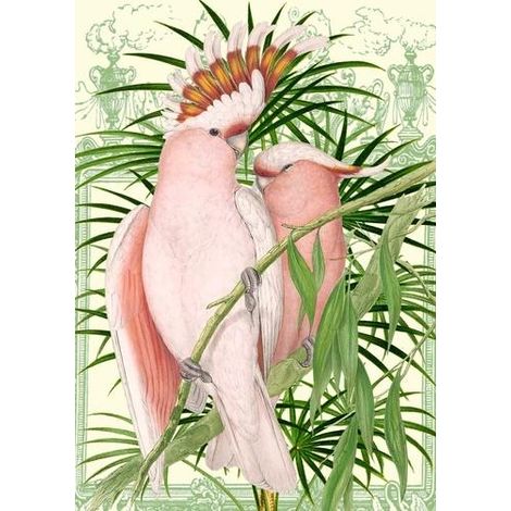 Cartolina B6 con busta, pappagalli rosa