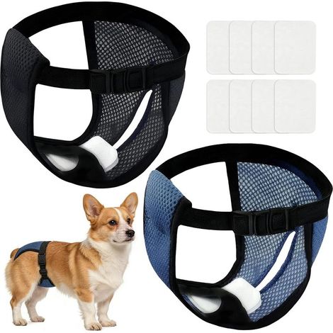 2 Pièces Culotte Chiennes Chaleurs,Noire Bleu(M) Couche Chien Femelle,Culotte Menstruelle Chien avec 8 Serviettes Hygiéniques,Couche Lavable Réutilisables Incontinence pour Saignements Mensuels (1/5)