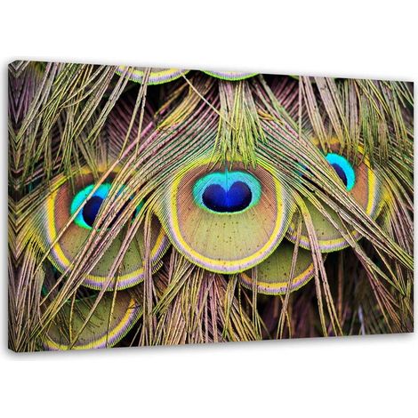 Tableau sur toile Plumes de paon multicolores 60x40 (1/5)
