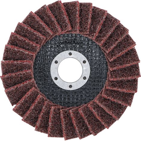 BGS  Disco  de  láminas  no  tejidas  Ø  125  mm  grano  120  -  74474 (1/4)