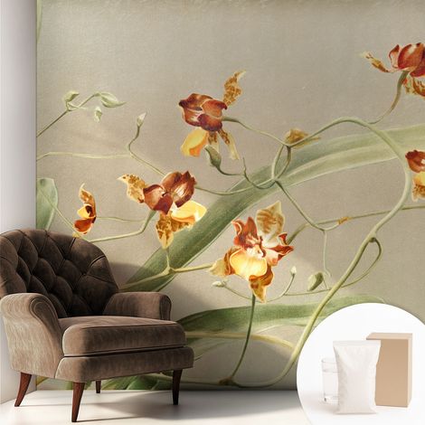 Fototapete Vliestapete mit Kleber - modern Wohnzimmer - Wanddekoration - einfach anzubringen Klassische Orchideen 250x250 cm (1/5)
