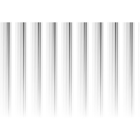 Papier peint panoramique noir et blanc | Tapisserie panoramique géométriques | Papier peint panoramique design salle à manger et salon - 267 x 400 cm (4 pièces) (1/3)