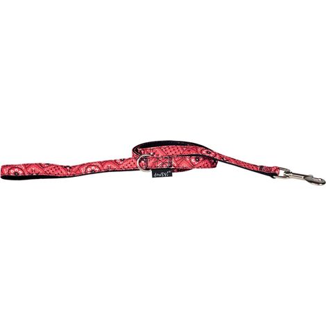Laisse Bandana Rouge