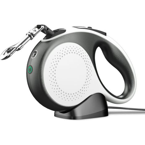 Laisse pour chien rétractable 5m avec lumière LED rechargeable, laisse pour chien rétractable (jusqu'à 30kg), avec verrouillage à bouton unique, sangle en nylon avec coutures réfléchissantes (1/5)