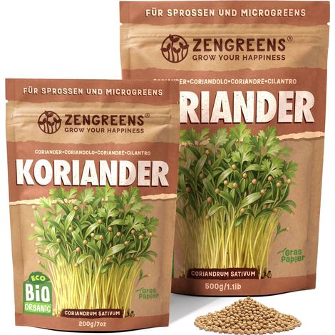 Bio Microgreens Samen Koriander 200 g Keimsaat ZenGreens