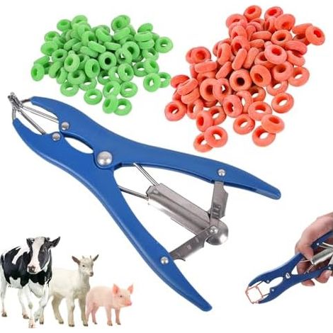 Pince de Castration, Pince pour Castration Bouc, Pince à Castration élastique en Acier Inoxydable avec 100 Anneaux en Caoutchouc pour Porcs, Bovins, Moutons, Vaches (1/4)