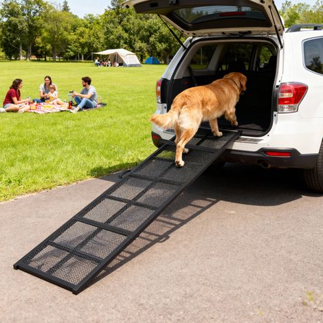 Rampe d'accès pour Chien Pliable en Acier, Plan Incliné Antidérapant pour Escalier, Capacité 180 kg, Dimensions 191 x 50 x 4 cm, Teinte Noire (1/5)