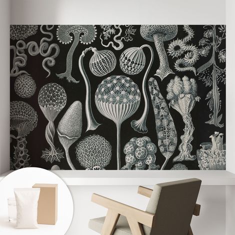 Papier peint intissé classique moderne pour salon et chambre à coucher Décoration rapide avec colle Plantes magiques 104x70 cm (1/5)