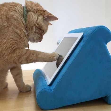 Coussin Support Tablette - Compatible Tous Modèles - Angle Réglable 3 Positions - Bleu - 1 Pièce (1/4)