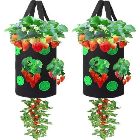 Sac de culture pour plantes - Lot de 2 - Sac de culture - Sac à plantes - Tissu non tissé - Réutilisable - Avec poignées - Sac de culture - Jardinage - Panier à plantes - 25 x 30 cm - Noir (1/5)