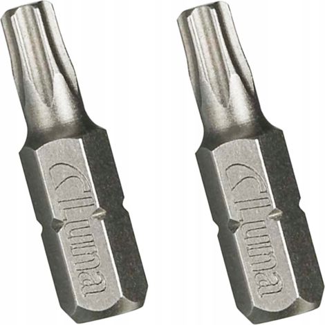 Torx T25 Bits 1/4" 25mm (2 Stück)