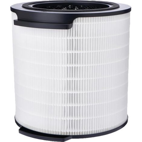 Filtre de Rechange FY1700 pour à Charbon Actif Series 1000i FY1700/30 Accessoires Purificateur D'Air HEPA (1/5)