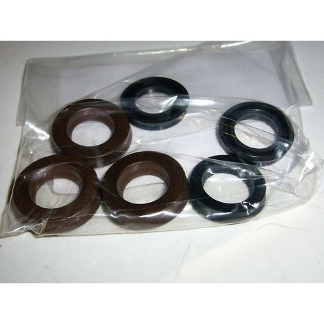 KIT GUARNIZIONI TENUTE ACQUA IDROPULITRICI POMPE LAVORWASH 6.005.0034 D.15