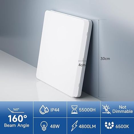 LED Ceiling Light 30 cm 48 W 6500 K (1/4)