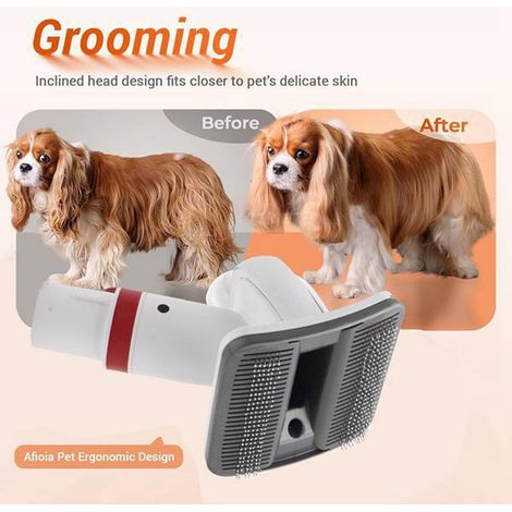 1 jeu de couleurs : voir photo. Matière : plastique. Kit de brosses pour animaux compatible avec les modèles V7, V8, V10, V11 et V20. (1/5)