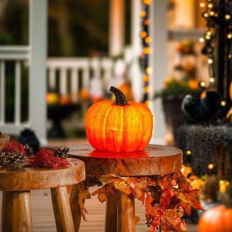esotec Solarleuchte Dekoleuchte Kürbis Gartenfigur Halloween ⌀16cm IP44 102682