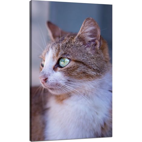 Lienzo impreso con la imagen de un gato pelirrojo (70x120 cm).