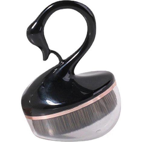 Brosse à disques vinyle portable anti-statique en fibre de carbone (1/4)