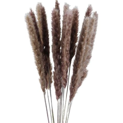 Petites herbes de la pampa séchées, phragmites naturels, décoration pour accessoires de photographie de mariage et d'hôtel (1/4)