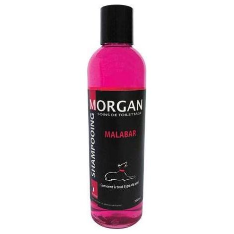Shampoing protéiné senteur Malabar Morgan : 250ml