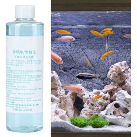 Éliminateur d'escargots d'aquarium liquide - Solution anti-limaces pour bassin à poissons