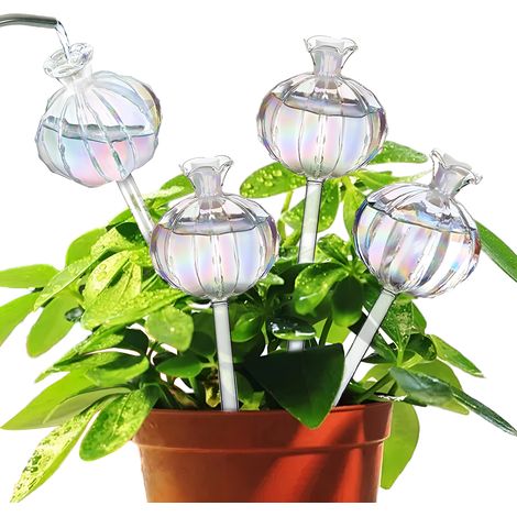 Sfere per l'irrigazione delle piante – Sfere autoirriganti per piante da interno, bulbi per l'irrigazione di cactus