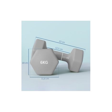 2 x 6 kg Hex-Hanteln, rutschfestes Design, grau HAVRYA (1/5)