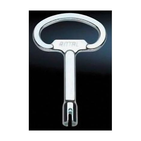 CLÉ POUR ARMOIRES DE DISTRIBUTION DAIMLER RITTAL 2521.000 ACIER 1 PC(S) (1/2)