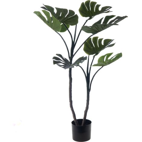 Amadeus - Monstera en pot 130