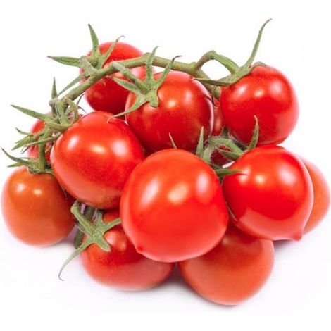 Semi di pomodoro "Grappolo d'inverno" piante per orto e giardino coltivazione domestica e professionale