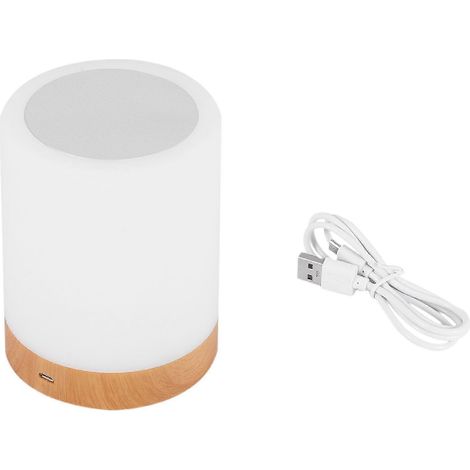 Veilleuse tactile portable pour chambre et salon, lampe de chevet rechargeable. (1/5)