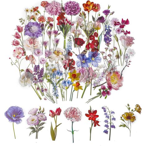 Pack of 100 scrapbooking stickers - Made of transparent PET - Vintage colorful flowers - For scrapbooking, photo albums, journals, notebooks, cards (F) (1/5)