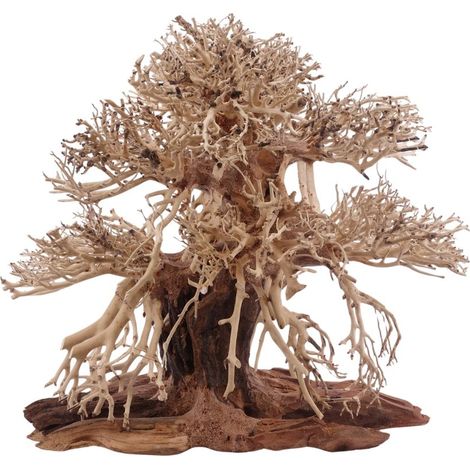 Premium Bonsai Baum L 30x15x30 cm Wurzel Holz Aquarium Deko Aquascaping
