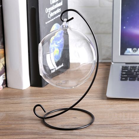 Grand terrarium suspendu en verre avec cadre pour plantes aériennes et succulentes (1/5)