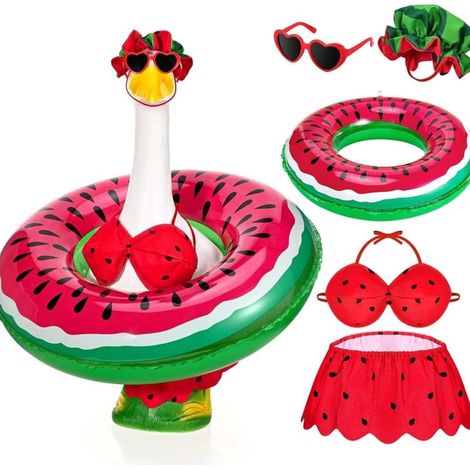 Irovami Ensemble de costume d'oie de porche de 58 cm (23 pouces) avec motif pastèque et bikini amusant. Accessoires ludiques en ciment pour la décoration de votre jardin. (1/5)