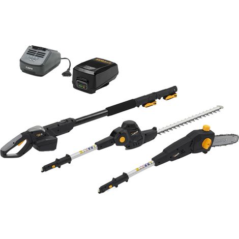TAGLIASIEPI / POTATORE A BATTERIA 'AM 20LI KIT' 20V - 4 Ah Litio  - ALPINA