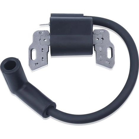 Bobine d'allumage pour moteurs Briggs & Stratton, pièce de rechange 798534 593872, installation facile (1/5)