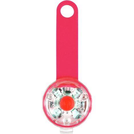 Pendentif lumineux USB pour animal, médaille chien anti-perte, Noël (1/5)