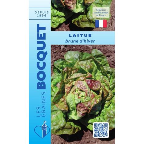 Laitue d'hiver Brune d'hiver - 4g
