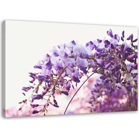 Tableau sur toile Glycine Fleurs Nature 60x40 (1/5)