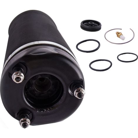 Avant Suspension Air Amortisseur BAG pour Mercedes R Classe W251 R 500 4matic (1/5)