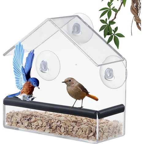 Mangeoire pour oiseaux en plastique transparent - Avec ventouses et coussinets en caoutchouc anti-rayures - Bac de récupération et trous de drainage - Pour fenêtre et balcon - 15 x 15 x 6,5 cm (1/5)
