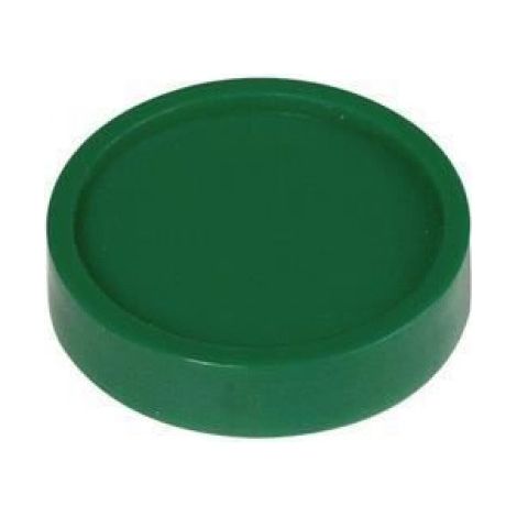 Aimant Rond - Ø 30 mm - Puissance 0,6 kg - Vert - Lot de 10