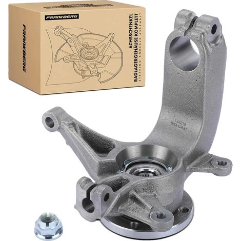 Stub Achsschenkel Radlagergehäuse, Gusseisen, Vorderachse links, Kompatibel mit RENAULT, OEM-Nummern: 8200212431, 402027463R (1/4)